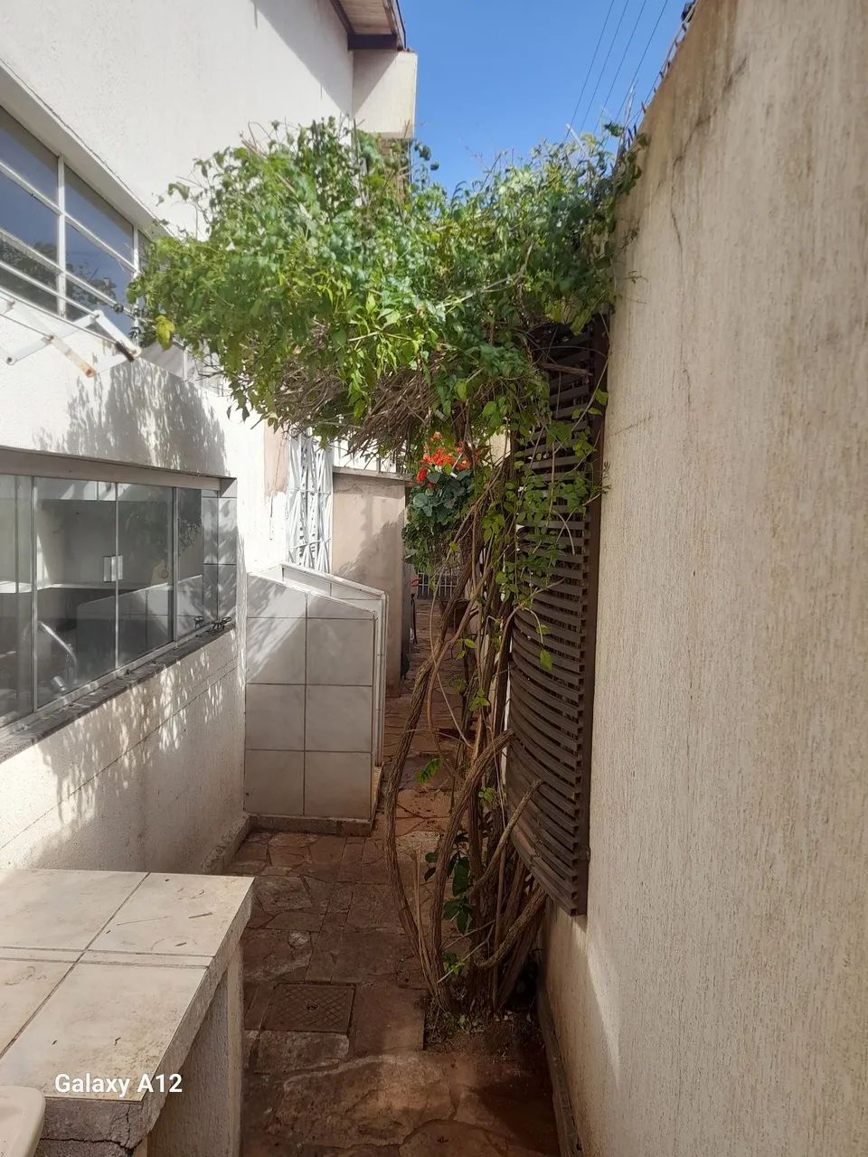 Jardinagens  - Foto 4