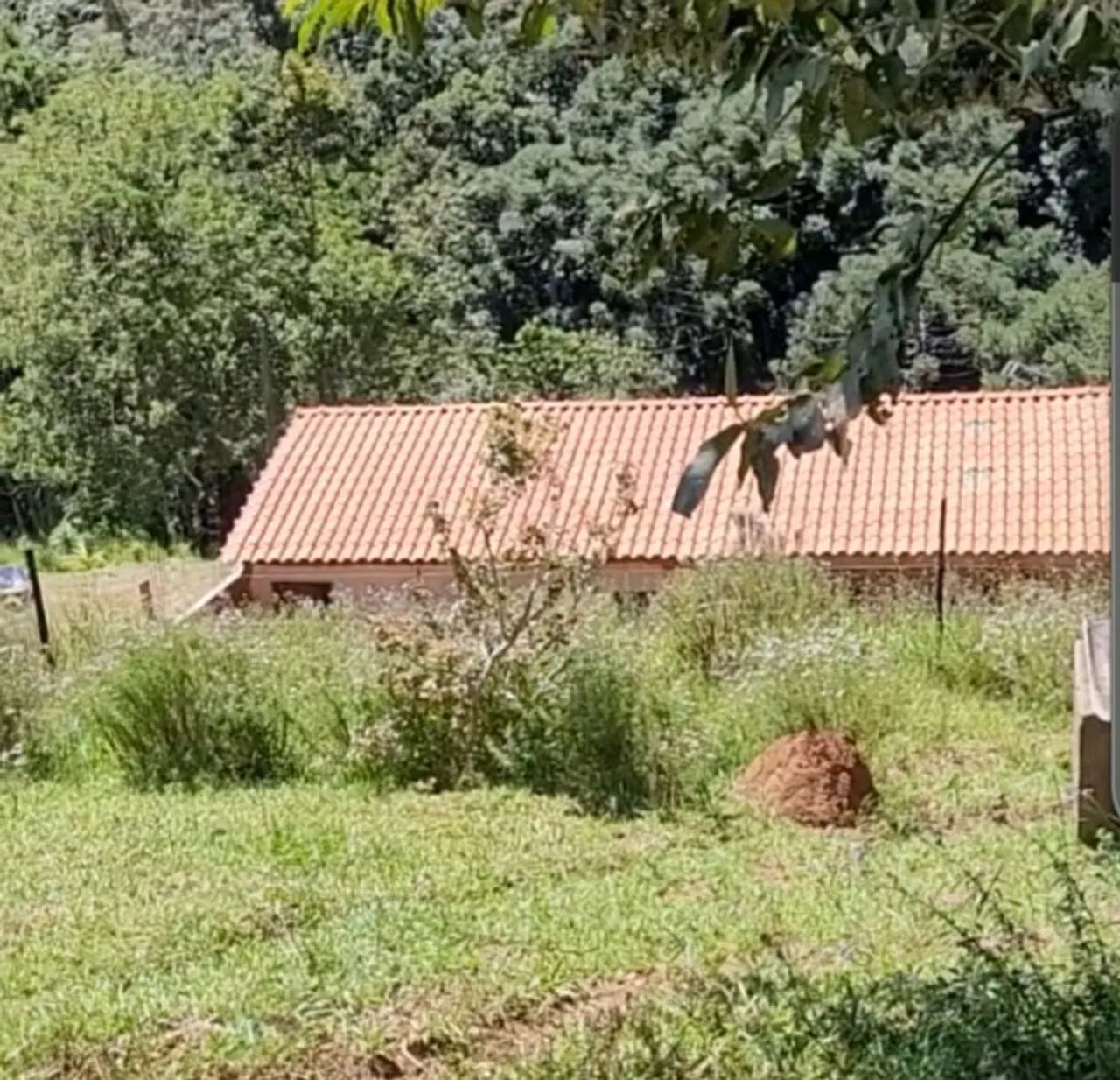 Sítio na região Sul de MG - Foto 3