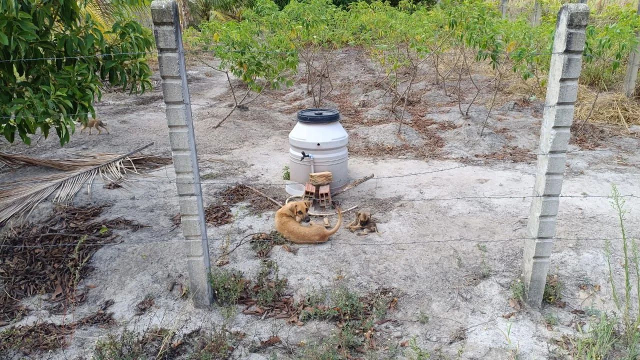 Terreno no povoado Quebradas em Salgado  - Foto 2