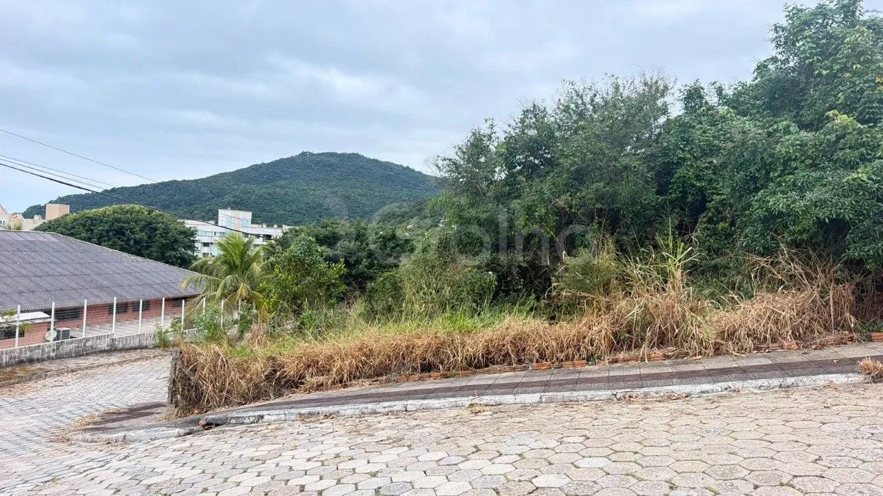 Terreno de - Foto 4