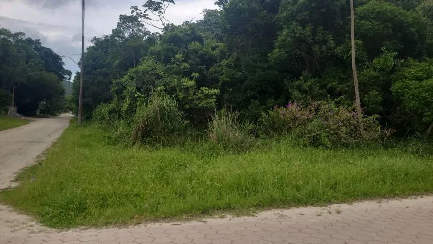 RARIDADE NO MARISCAL 