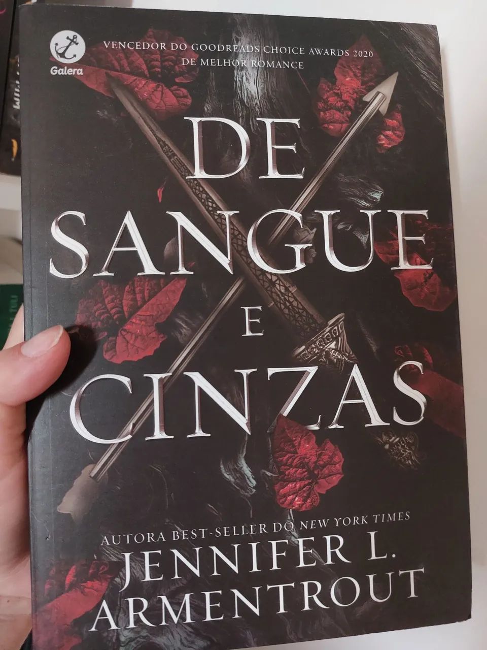 Livro De Sangue e Cinzas