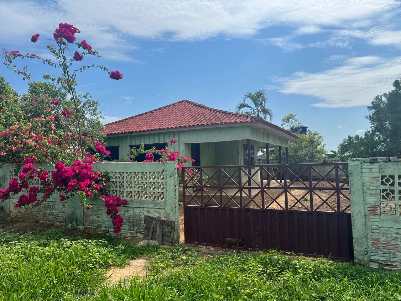 20 Alqueires A VENDA em Cacoal RO - Foto 4