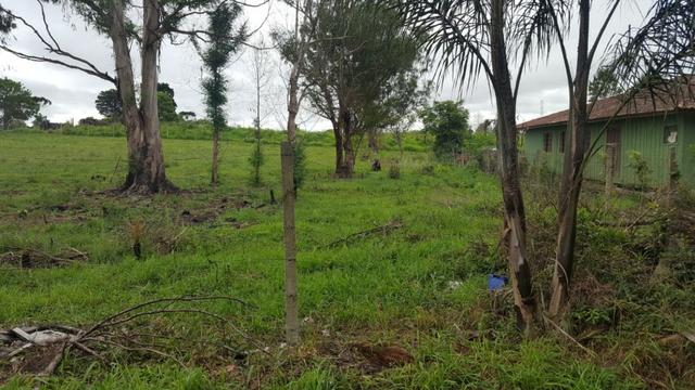 Chácara/bem localizada, de frente para Rodovia BR277 só R$3.499.000,00 - Foto 17