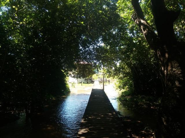 Pesqueiro no pantanal estudo troca - Foto 17