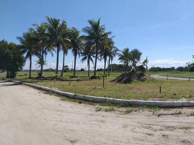 Cód 107 Lotes em Unamar-Cabo Frio !!!! - Foto 2