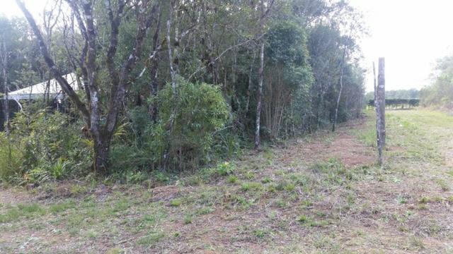 Troco x Apartamento - São José dos Pinhais R$169.000,00 - Foto 3