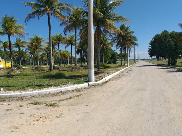 Cód 107 Lotes em Unamar-Cabo Frio !!!! - Foto 4