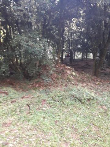 Para você que procura descanso e tranquilidade junto as belezas da serra gaucha - Foto 5