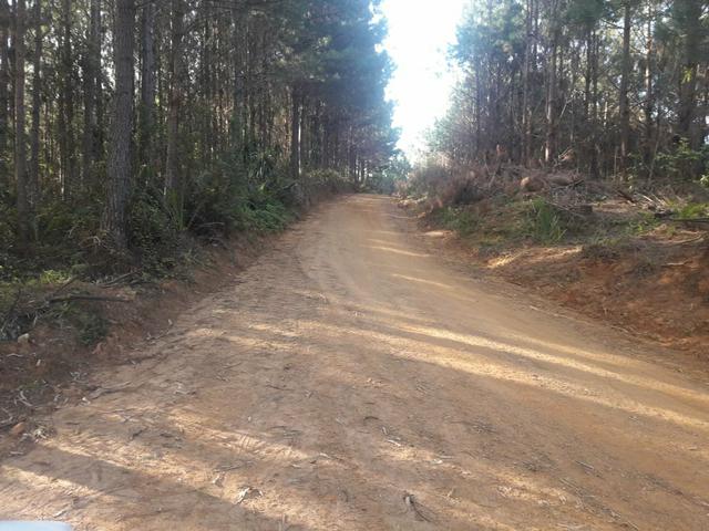 Chácara agudos do sul - Foto 2