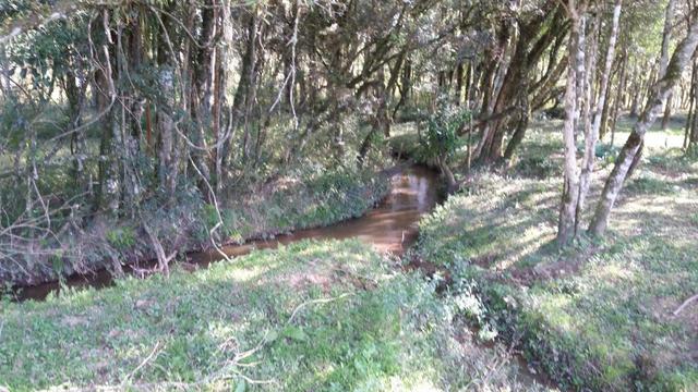 Linda Chácara Pague e Pesque, Bairro do Nogueiras - Areia Branca - Foto 14