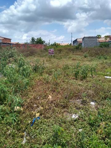 Terreno +Parcelas - Foto 4