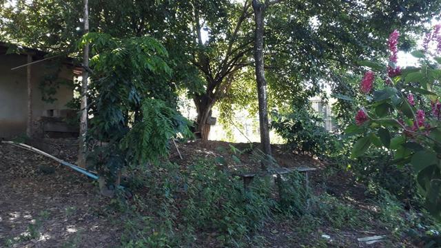 (R$160.000) Chácara c/ 5.320m² no Recanto dos Sonhos - Foto 6