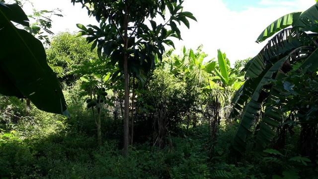 (R$160.000) Chácara c/ 5.320m² no Recanto dos Sonhos - Foto 3