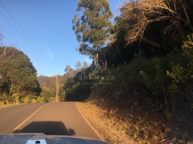 LINDA ÁREA DE TERRA NA LINHA ÁVILA - Foto 2