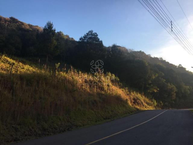 LINDA ÁREA DE TERRA NA LINHA ÁVILA - Foto 3
