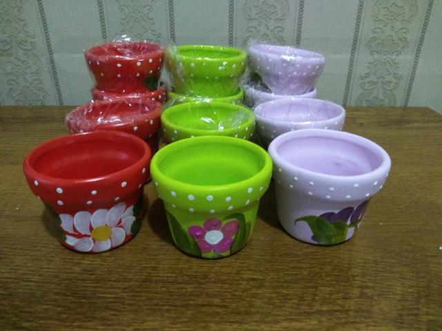12 vasinhos de violeta g cores diversas - Foto 5