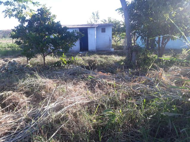 Vende-se lote 2km de ipabinha - Foto 3