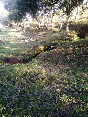 Sítio com 5 hectares, em São Sebastião do Rio Verde! - Foto 16