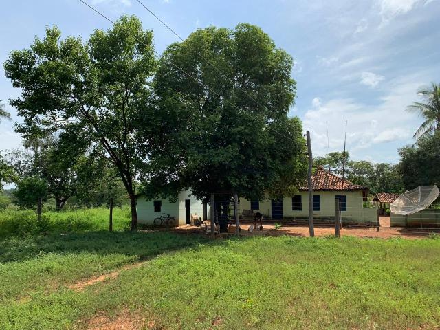 Excelente fazenda dupla aptidão - Foto 3
