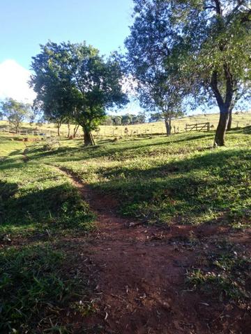 Sítio com 5 hectares, em São Sebastião do Rio Verde!