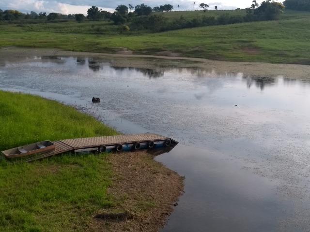 Vende-se Chácara a Beira da Represa em Carlópolis PR - Foto 5