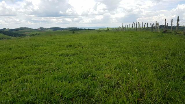 01U. venha escolher 1000mts² terrenos em jacarei - Foto 3