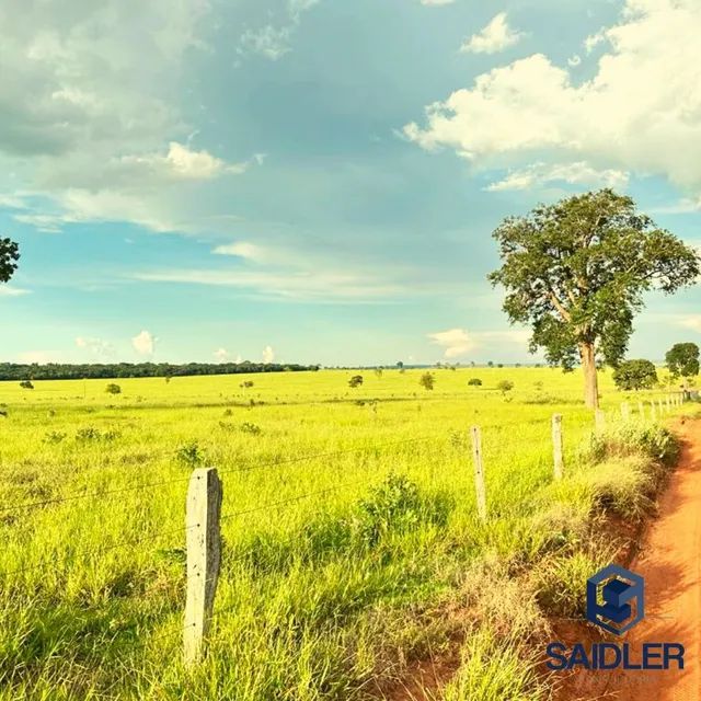 Faz em Nova Andradina-MS, 5.793 hectares. - Foto 7