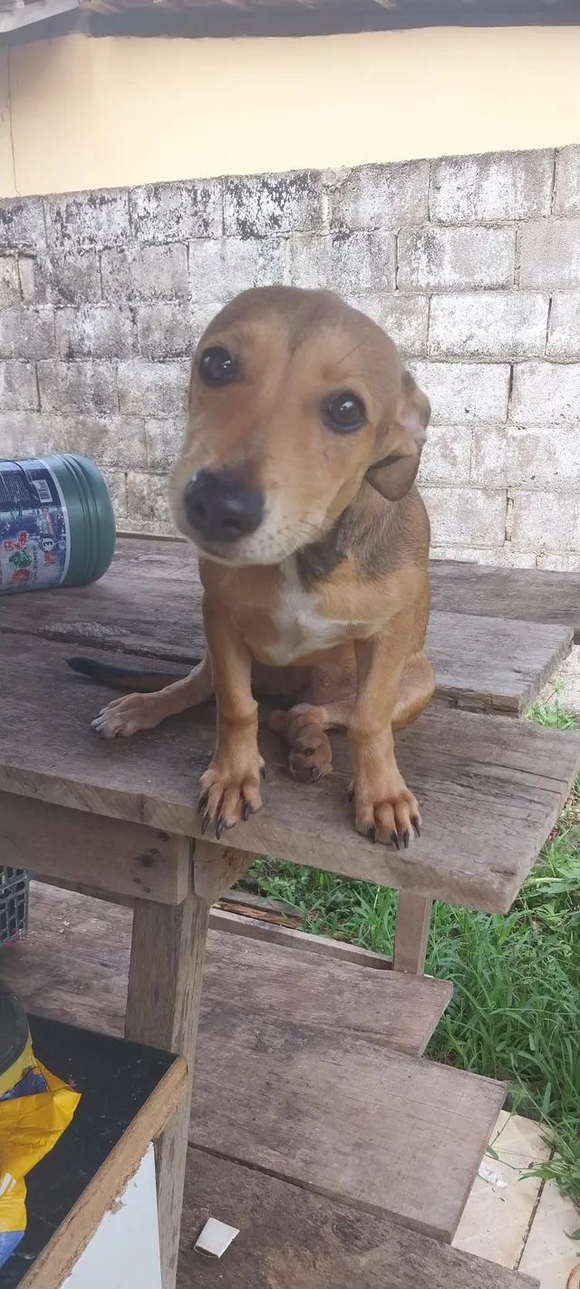 Doação responsável 