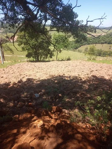 Casas à venda em Bonfim, São João Del Rei, MG - ZAP Imóveis