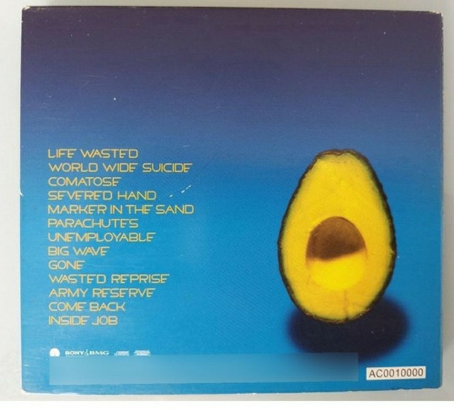 CD Pearl Jam - Pearl Jam - CDs, DVDs etc - Itaipu, Niterói 1139789059 | OLX