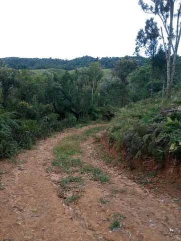 Sítio 3,7 hectares, Pastagem, Roça, 2ª Linha, Divisa de São Pedro com Águas Mornas SC - Foto 7