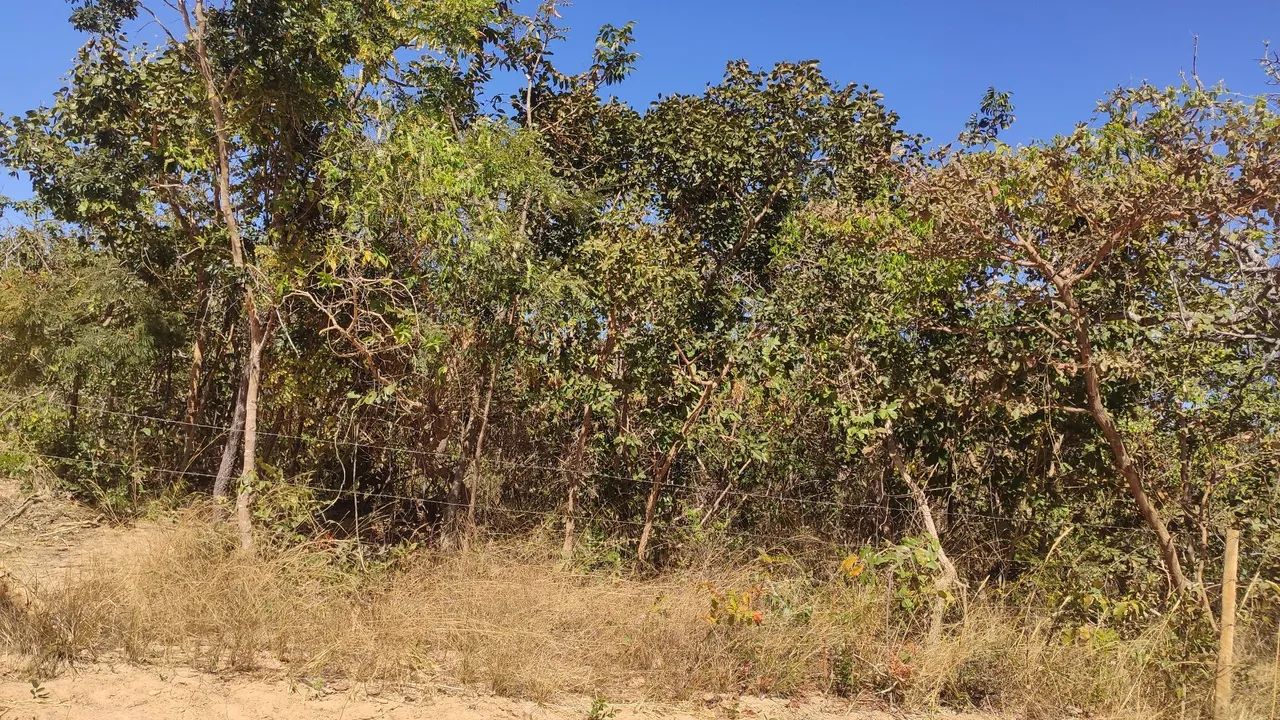 Vendo chácara sumidouro coração de Jesus MG - Foto 4