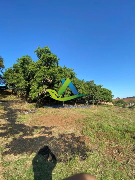 ÚLTIMAS CHÁCARAS DISPONÍVEIS ÀS MARGENS DO RIO TIBAGI PARCELADO - Foto 6