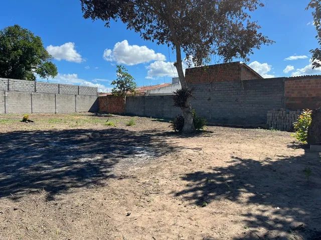 Excelente  terreno  para aluguel  Bairro  Sim - Foto 5