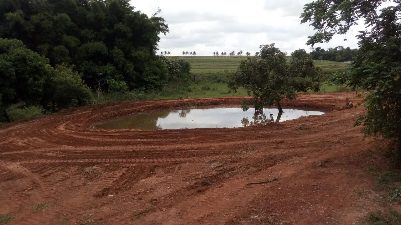 Terraplanagem, locação de máquinas - Foto 6