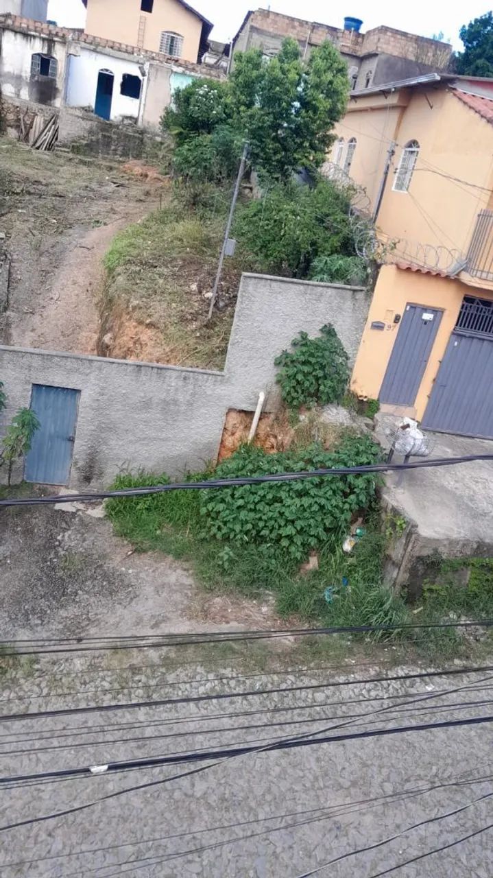 Foto - Belo Horizonte - Ipê