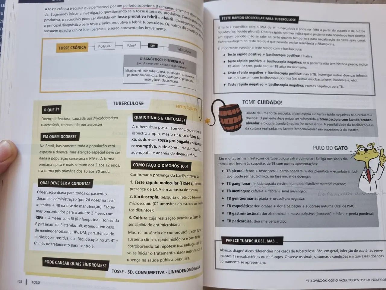Como fazer todos os diagnósticos, Sanar - Foto 4