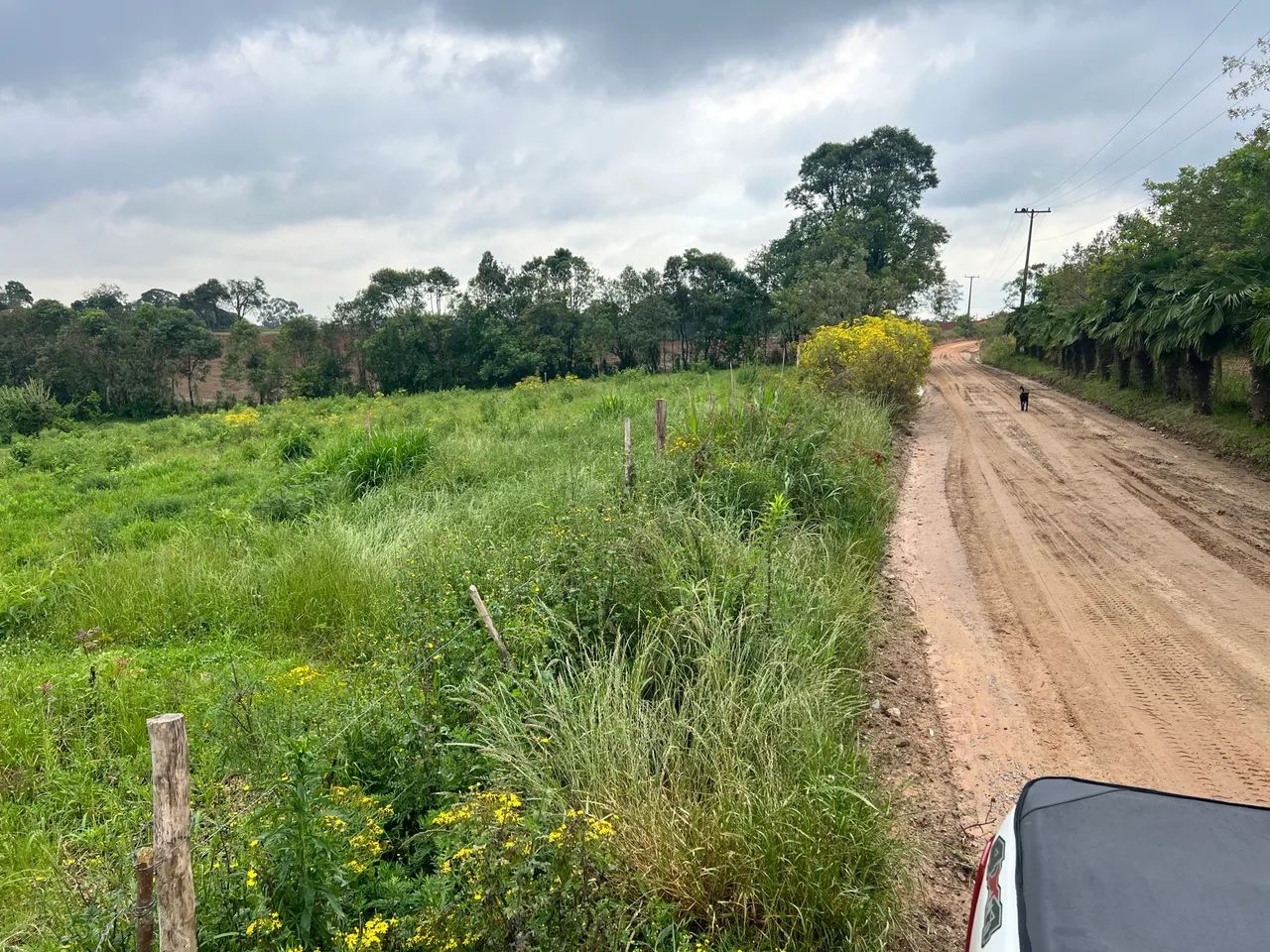 Vendo Chácaras - Fazenda Rio Grande - Foto 3