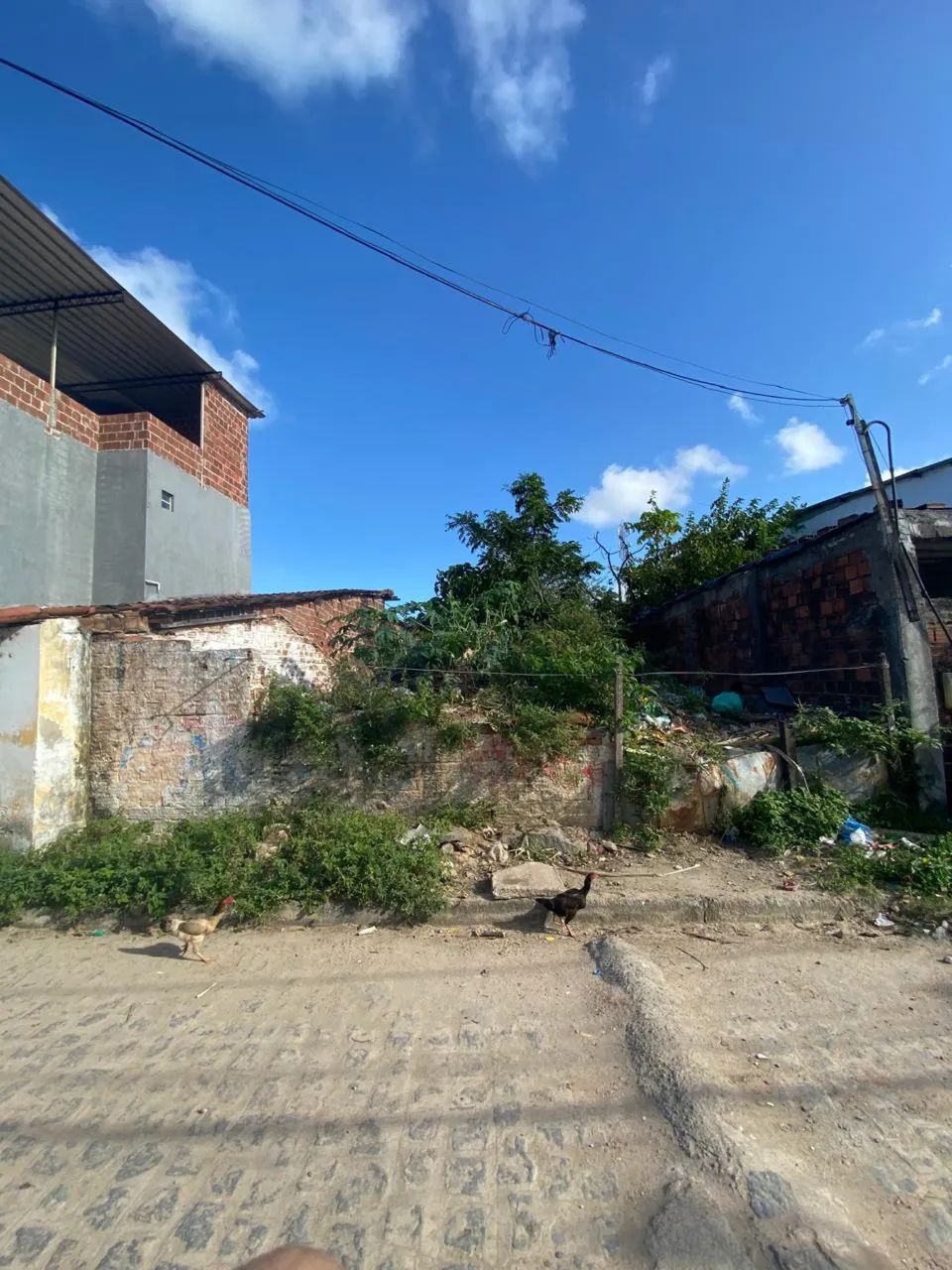 Terreno 85,m² à VENDA -Campo Grande - Recife - Terrenos, sítios e ...