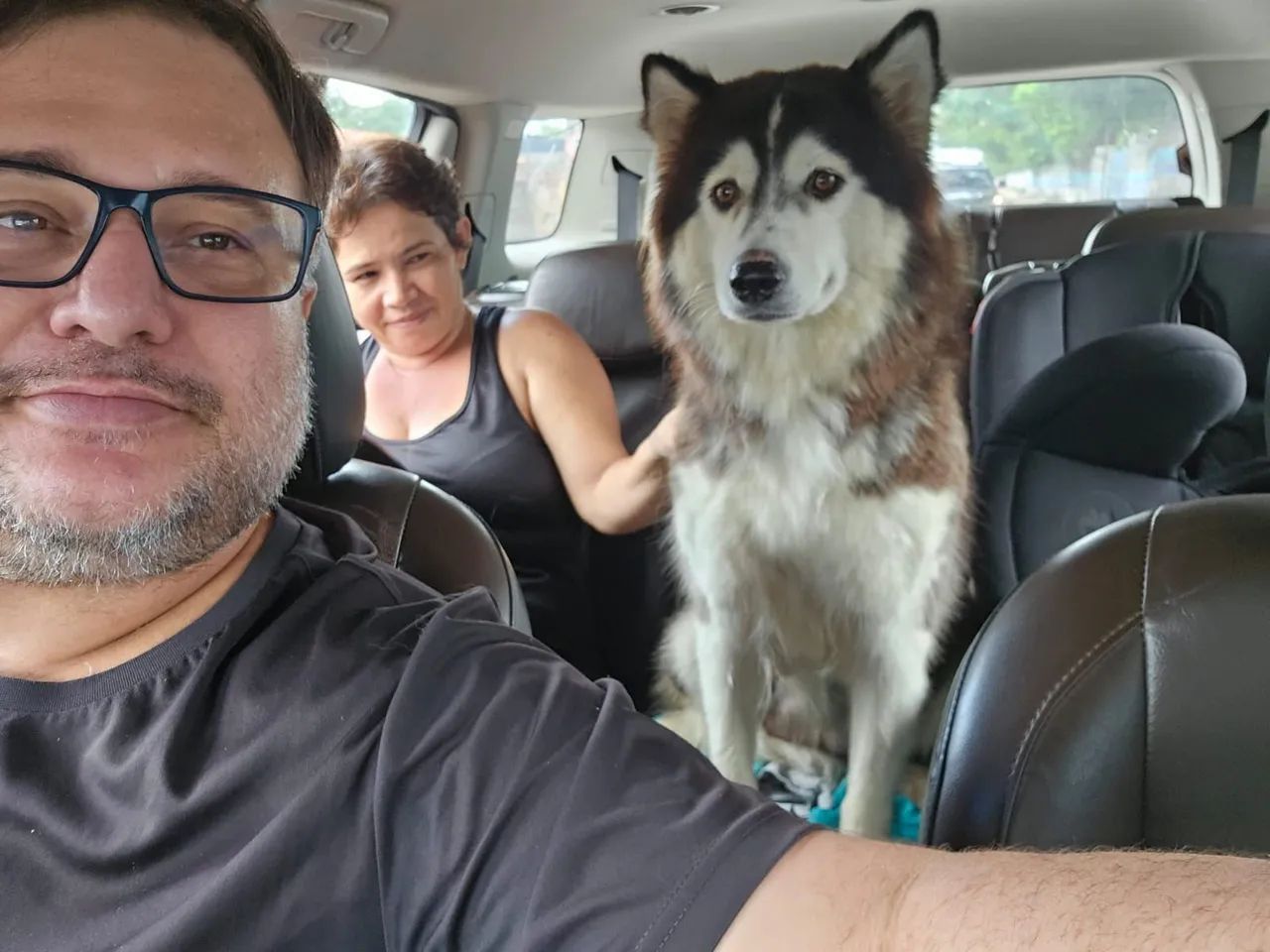 Lindo Filhote de Husky Siberiano  Wooly - um verdedeiro pet de pelúcia e beleza  - Foto 5