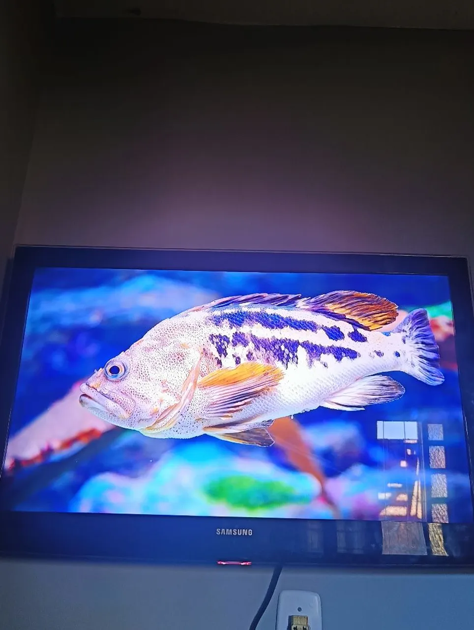 TV Samsung com Tela Grande