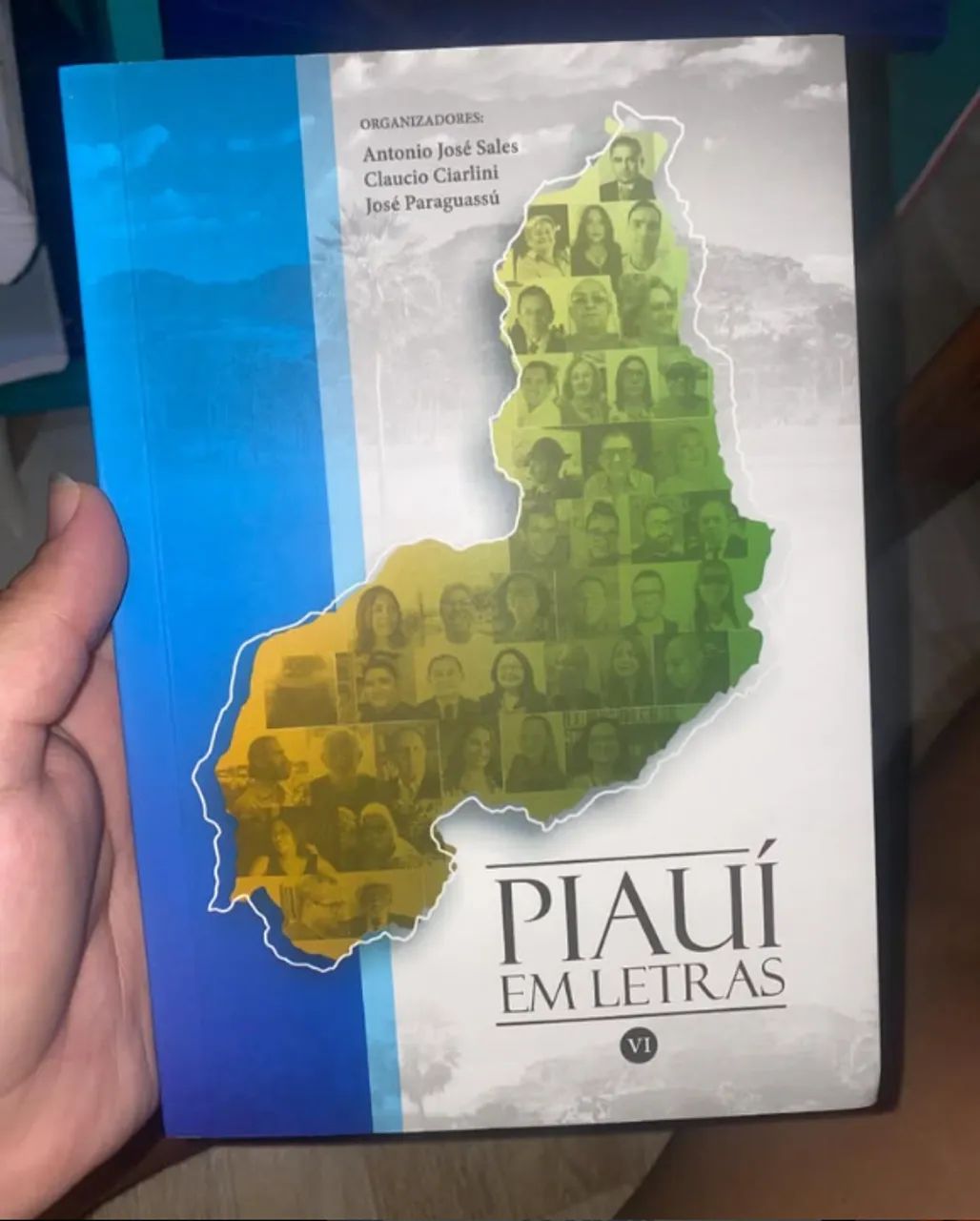 Livro: Piauí em letras