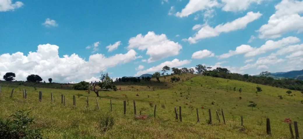 S201 - Sítio com 2,2 ha  - Foto 3
