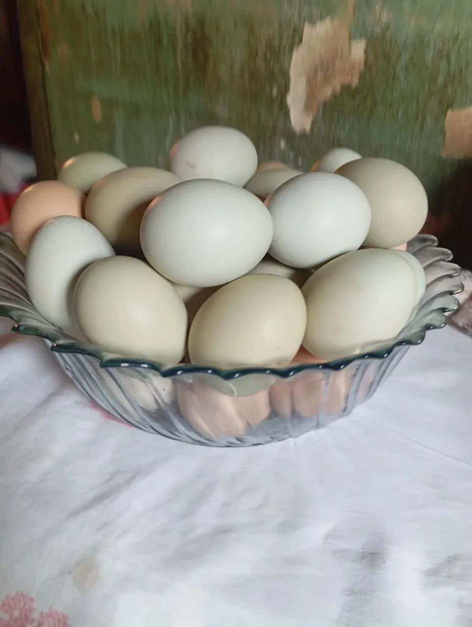 Ovos caipira Galados pra chocadeira!!! - Foto 4