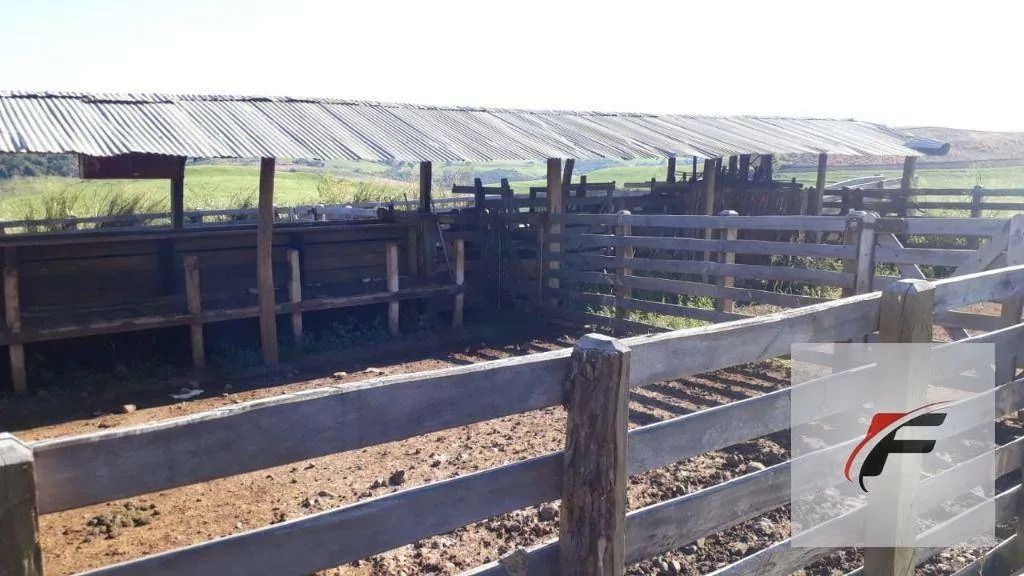 Fazenda à venda, 2988700 m² por R$ 37.000.000,00 - Rural - Faxinal/PR - Foto 3