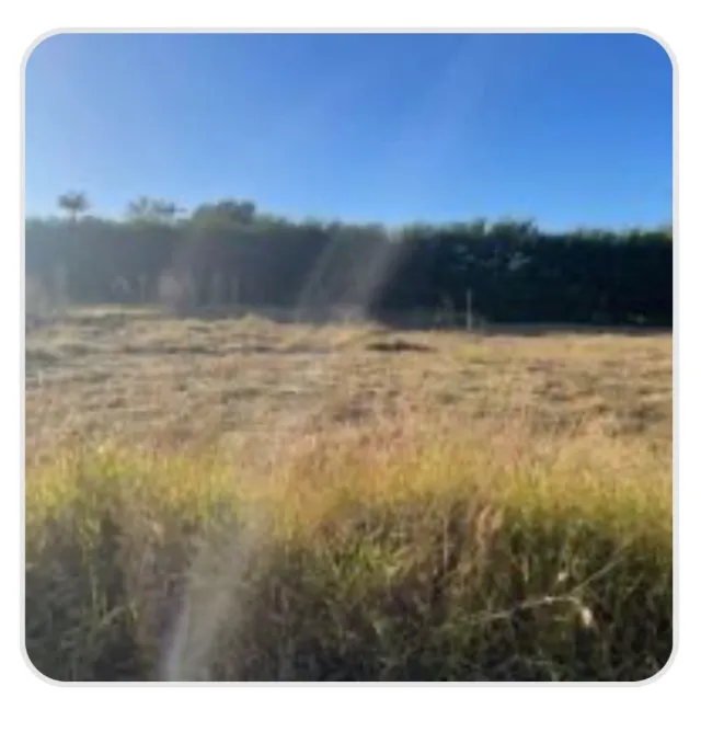 1 lote 800mt P.A. Norte