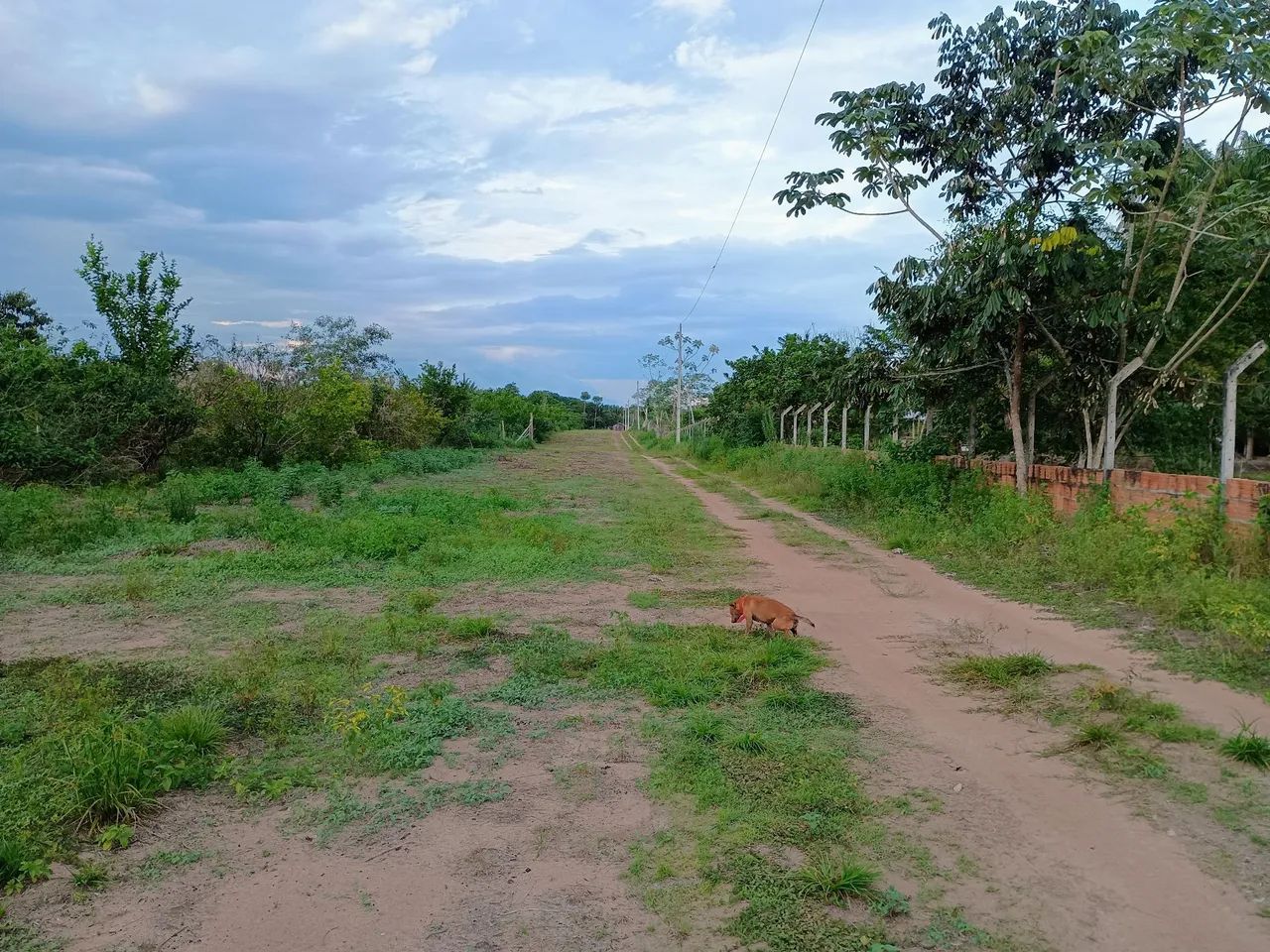 Terreno med. 12x50 na Morada do Sol , km 26 próximo ao 3 irmãos 