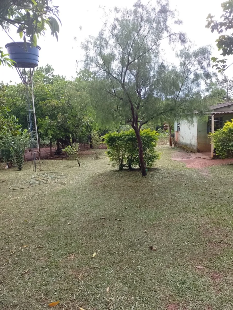 Vendo chacara no pedregal