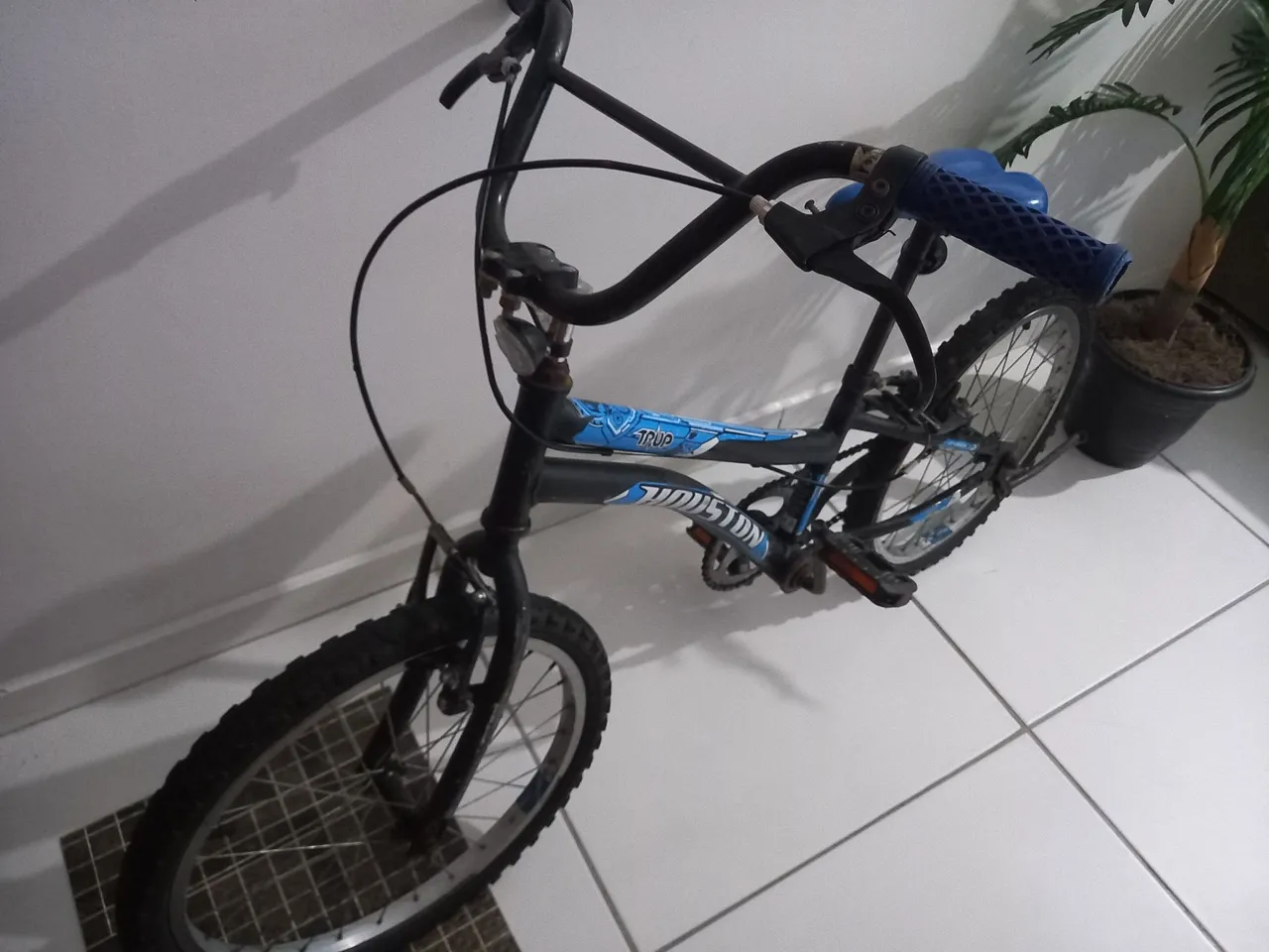 Bicicleta Aro 20 - Trip
